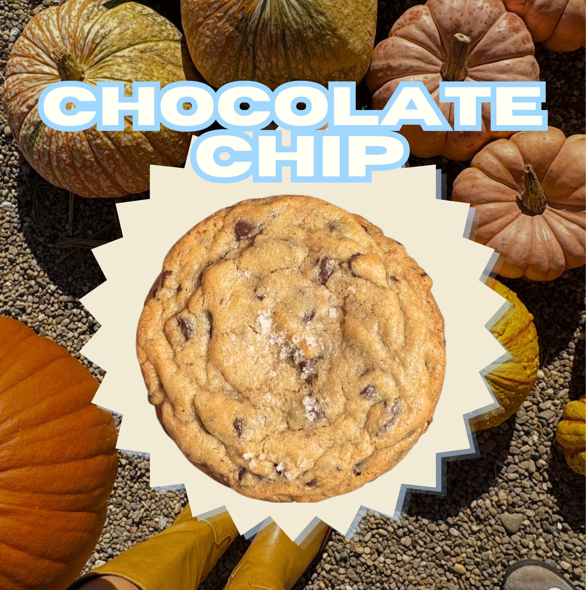 Chocolate Chip