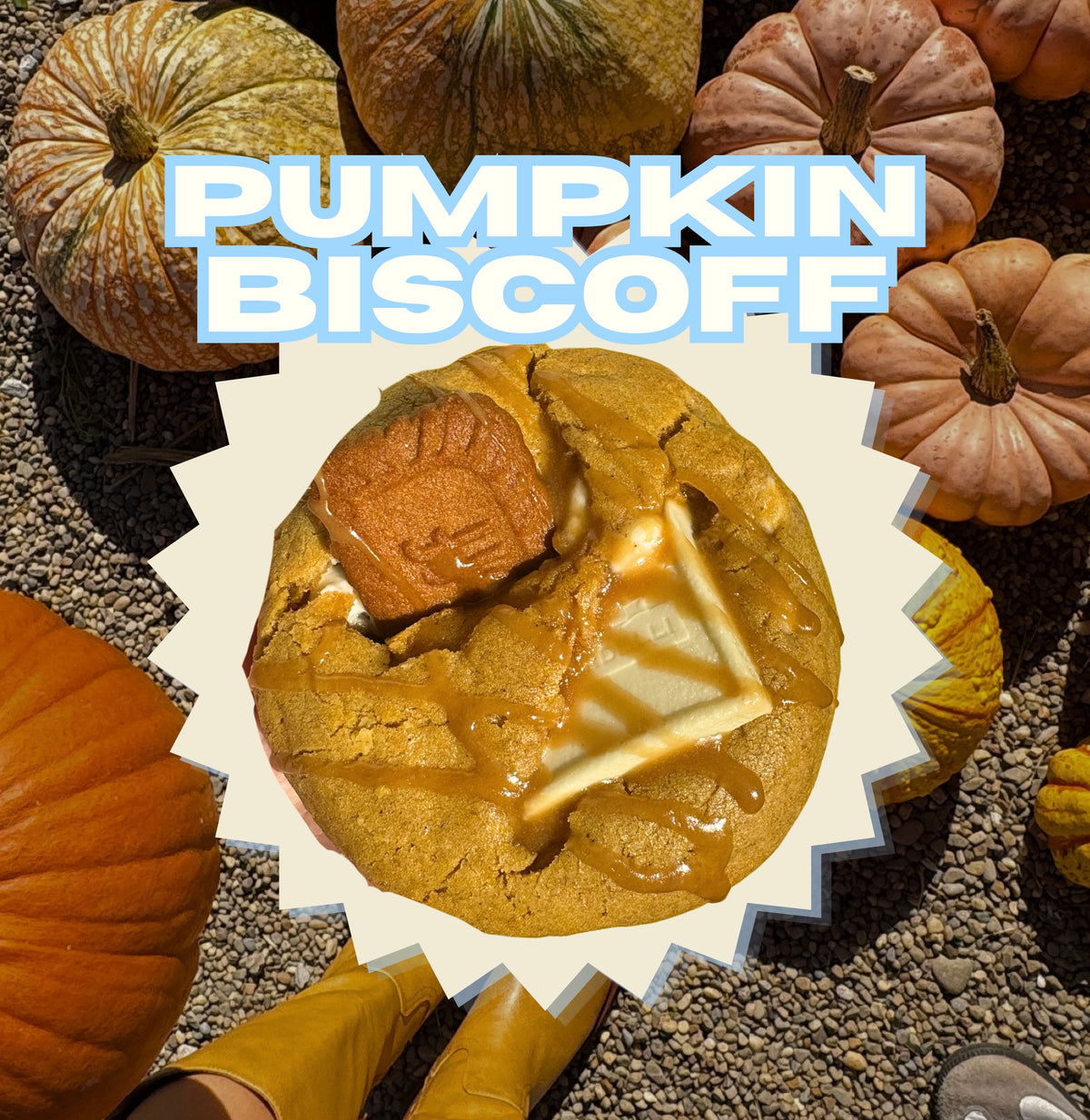 Pumpkin Biscoff